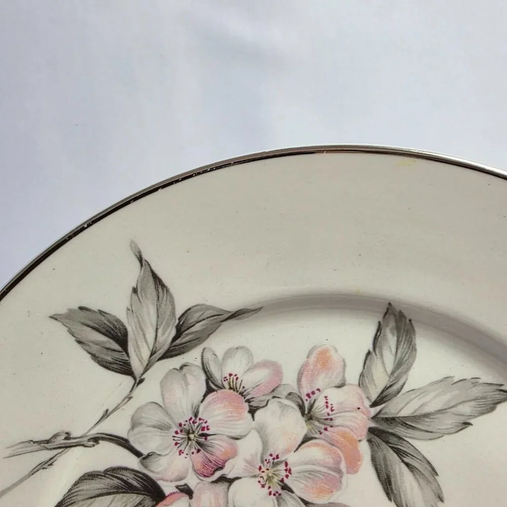 TWO Manor House Spring Glory Salad Plates Pink & White Floral Gray Leaves